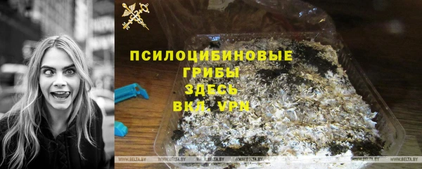 apvp Богданович