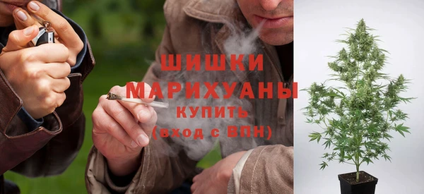 стаф Богородск