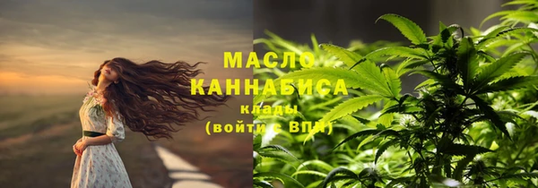 стаф Богородск