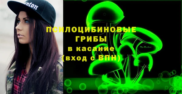 эйфоретик Богородицк