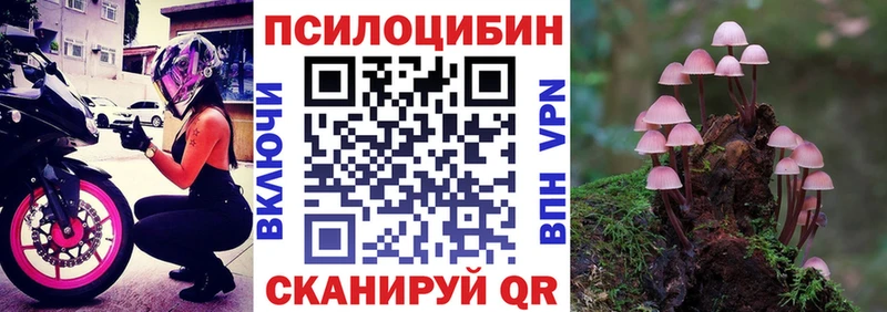 гидра ссылки  Ессентукская  Галлюциногенные грибы ЛСД 